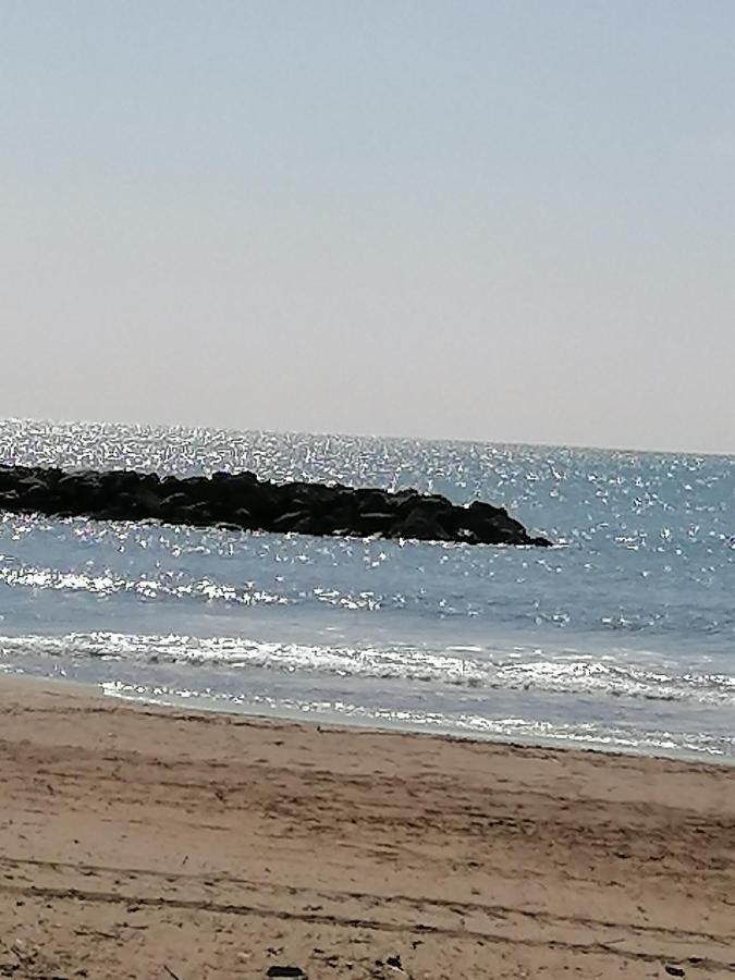 Studio Cabine Valras Plage 300M De La Mer エクステリア 写真